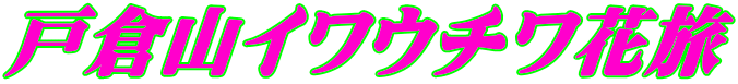 ˑqRCE`ԗ 